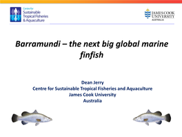 Barramundi – the Next Big Global Marine Finfish