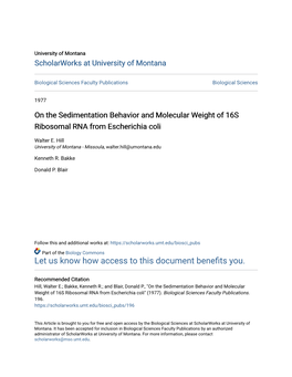 On the Sedimentation Behavior and Molecular Weight of 16S Ribosomal RNA from Escherichia Coli