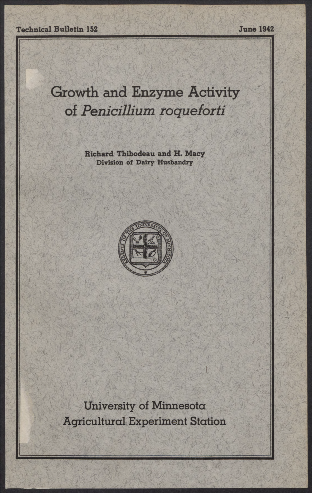 Growth and Enzyme Activity of Penicillium Roqueforti