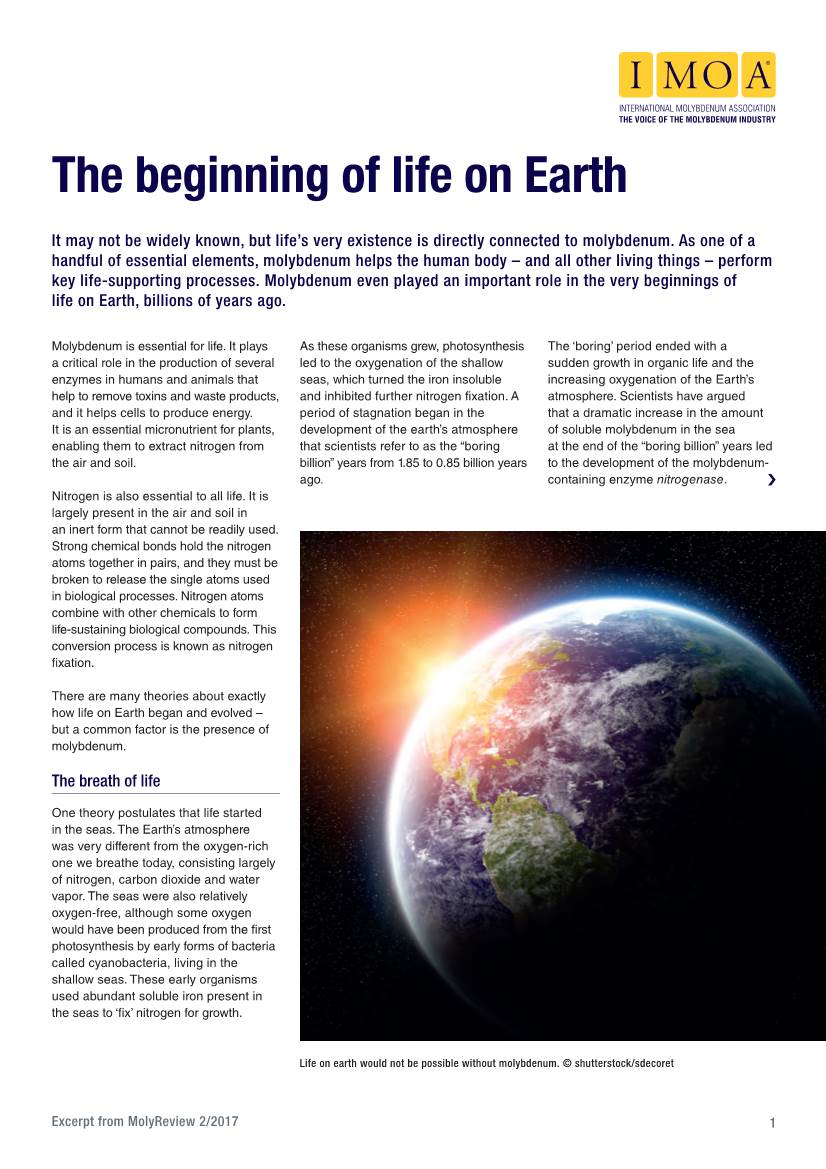 The Beginning of Life on Earth