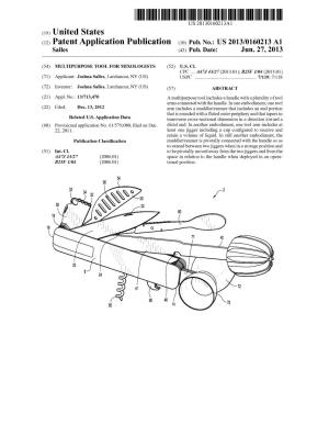 (12) Patent Application Publication (10) Pub. No.: US 2013/0160213 A1 Salles (43) Pub