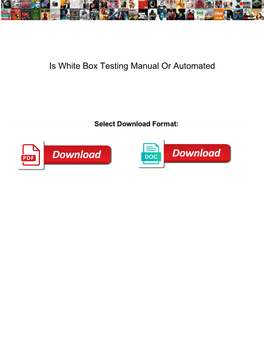 Is White Box Testing Manual Or Automated