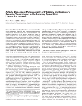 Activity-Dependent Metaplasticity of Inhibitory and Excitatory Synaptic Transmission in the Lamprey Spinal Cord Locomotor Network