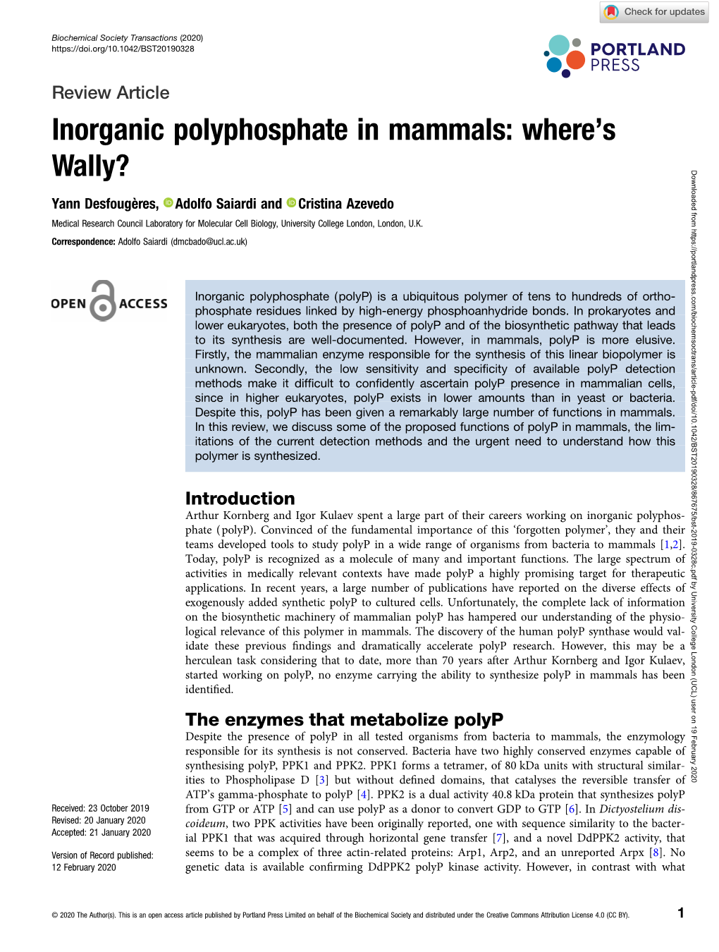 Inorganic Polyphosphate in Mammals: Where’S