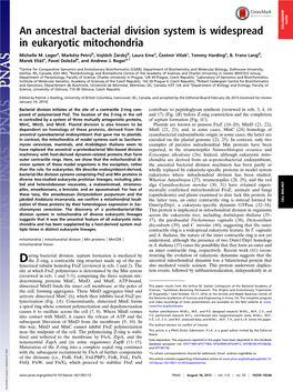 An Ancestral Bacterial Division System Is Widespread in Eukaryotic