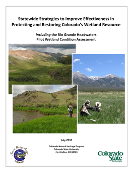 Statewide Strategies to Improve Effectiveness in Protecting and Restoring Colorado's Wetland Resource