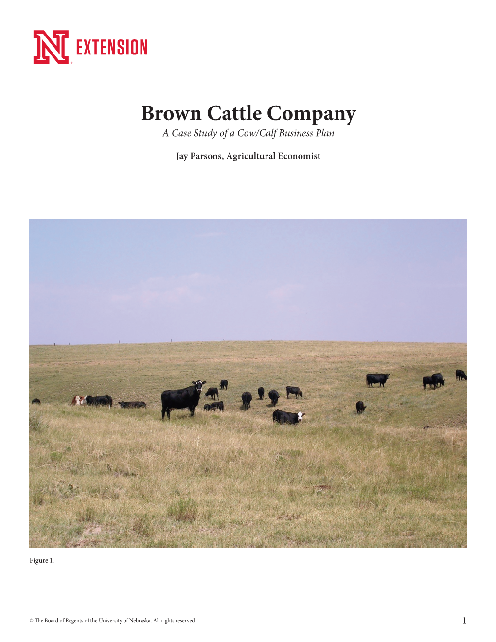 Brown Cattle Company a Case Study of a Cow/Calf Business Plan