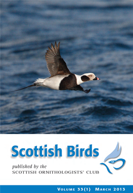 Scottish Birds 33:1 (2013)