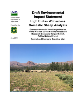 Draft Environmental Impact Statement-High Uintas Wilderness