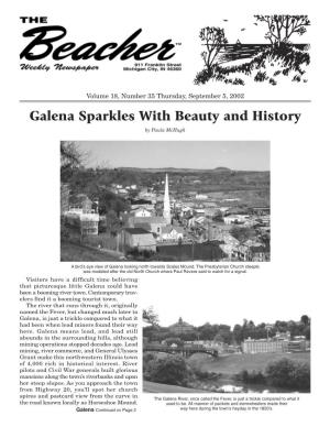 Galena Sparkles with Beauty and History by Paula Mchugh