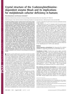 Dependent Enzyme Moaa and Its Implications for Molybdenum Cofactor Deficiency in Humans