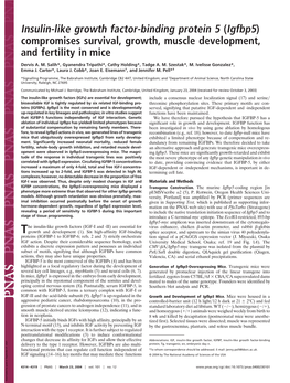 (Igfbp5) Compromises Survival, Growth, Muscle Development, and Fertility in Mice