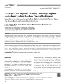 The Largest Cystic Nephroma Treated by Laparoscopic Nephron