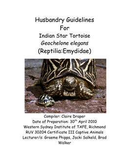 Indian Star Tortoise Geochelone Elegans (Reptilia:Emydidae)