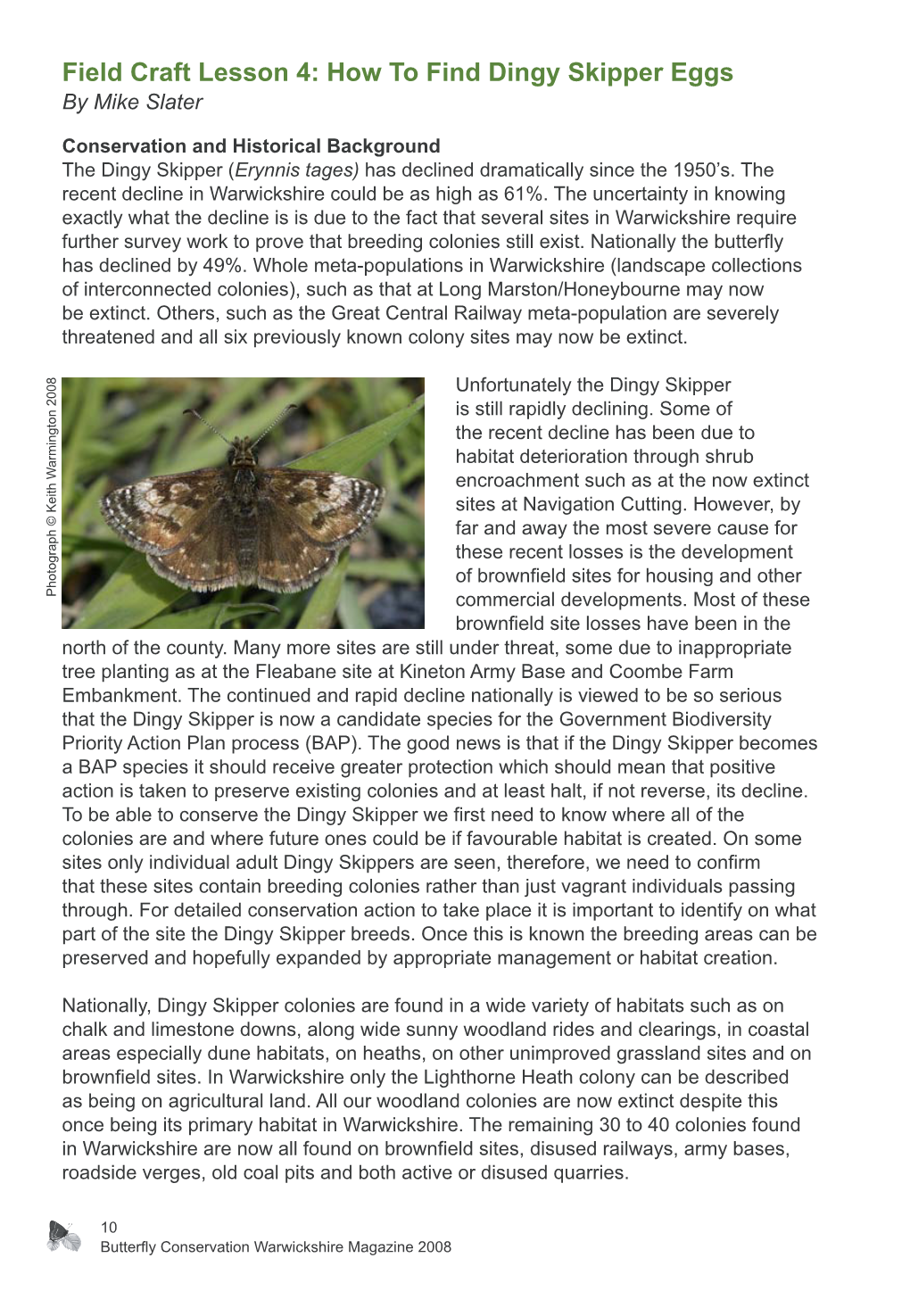 How to Find Dingy Skipper Eggs by Mike Slater