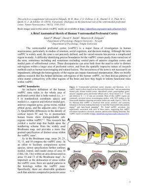A Brief Anatomical Sketch of Human Ventromedial Prefrontal Cortex Jamil P