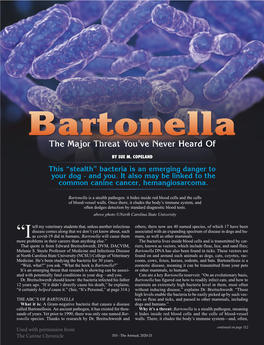 Bartonella Is a Stealth Pathogen: It Hides Inside Red Blood Cells and the Cells of Blood-Vessel Walls