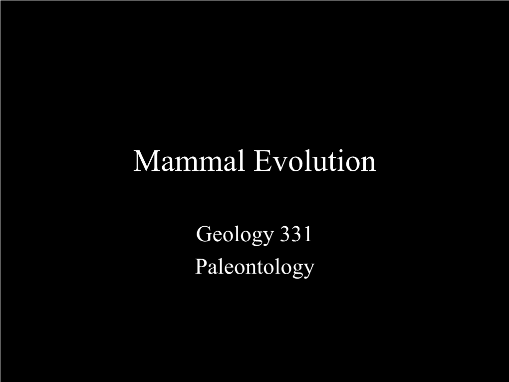 Mammal Evolution