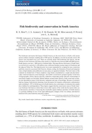 Fish Biodiversity and Conservation in South America