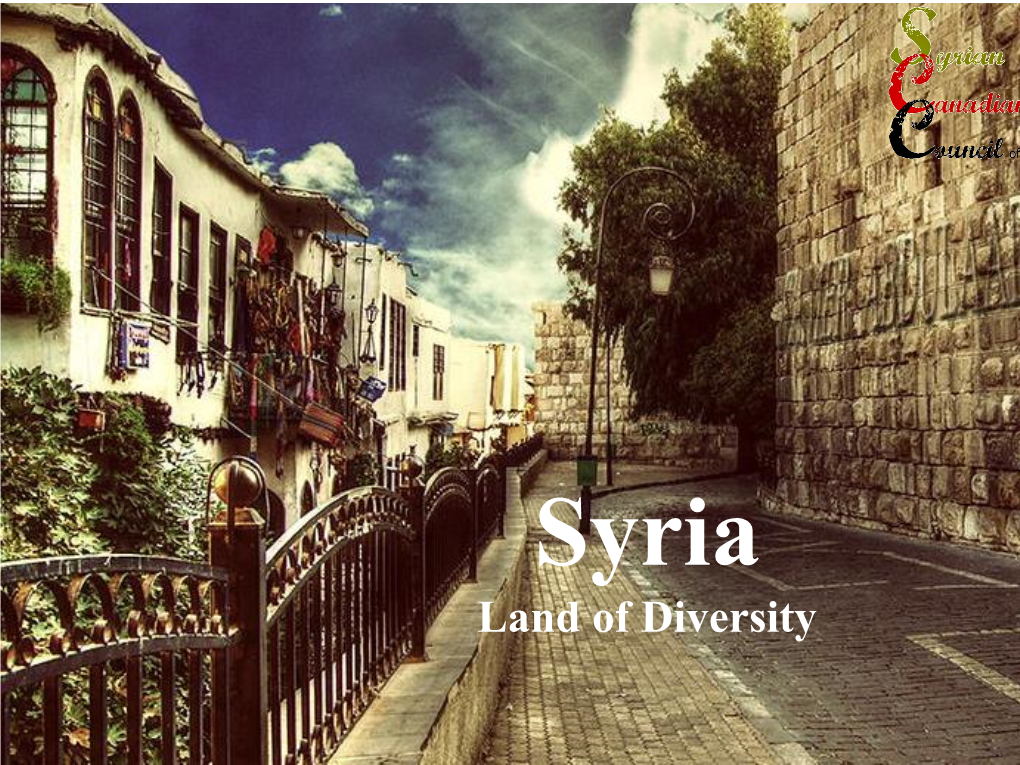 Land of Diversity Where Is Syria?