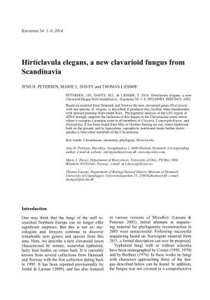 Hirticlavula Elegans, a New Clavarioid Fungus from Scandinavia