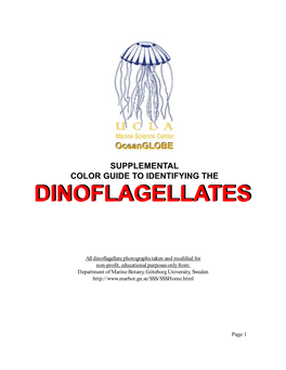 Supplemental Color Guide to Identifying the Dinoflagellatesdinoflagellates
