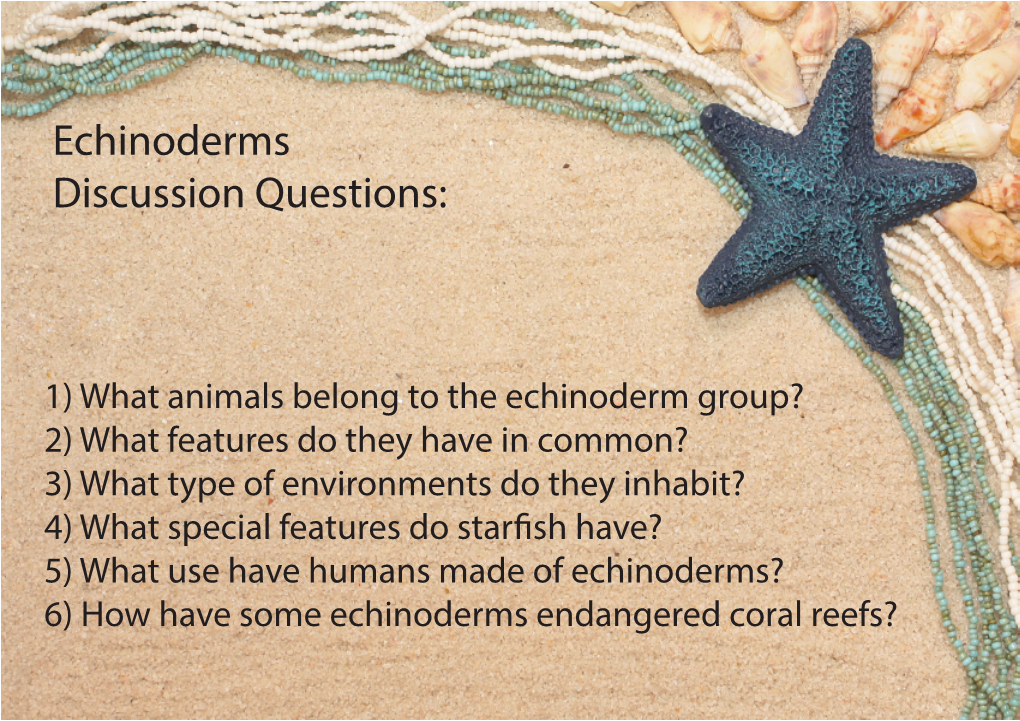 Echinoderm Slideshow