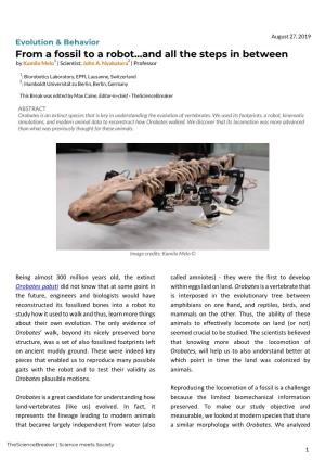 From a Fossil to a Robot…And All the Steps in Between 1 2 by Kamilo Melo | Scientist; John A