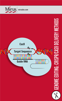 CRISPR/Cas9 Genome Editing Brochure