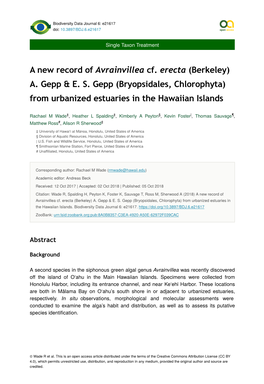 A New Record of Avrainvillea Cf. Erecta (Berkeley) A. Gepp & ES Gepp