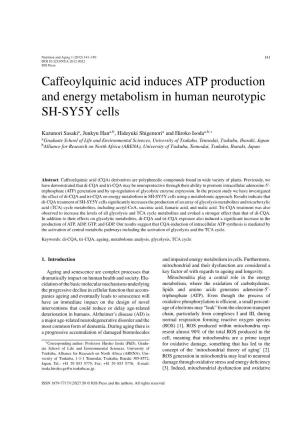 Caffeoylquinic Acid Induces ATP Production and Energy Metabolism in Human Neurotypic SH-SY5Y Cells