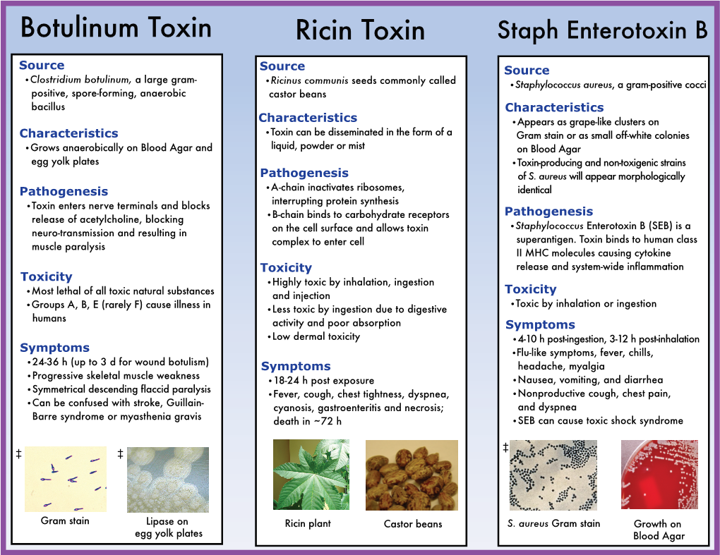Ricin Toxin Staph Enterotoxin B