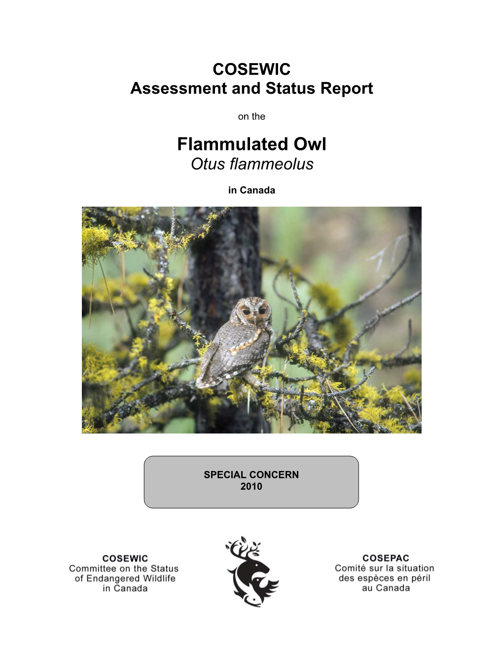 Flammulated Owl (Otus Flammeolus) in Accounts and Measures for Managing Identified Wildlife – Accounts V