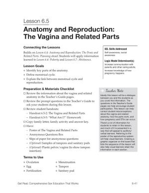 The Vagina and Related Parts