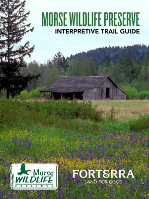Morse Wildlife Preserve Interpretive Trail Guide 3