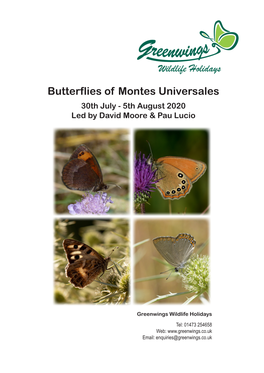Butterflies of Montes Universales Holiday Report 2020