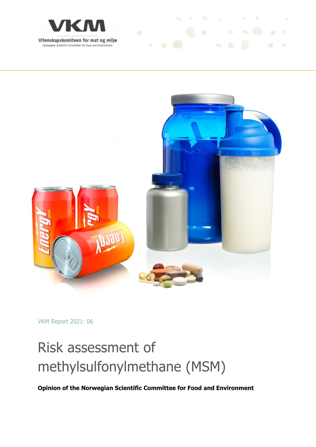 Risk Assessment of Methylsulfonylmethane (MSM)