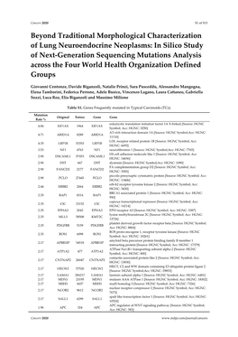 Beyond Traditional Morphological Characterization of Lung