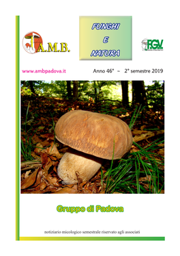 Funghi E Natura Gruppo Di Padova