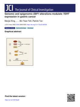 Genomic and Epigenomic EBF1 Alterations Modulate TERT Expression in Gastric Cancer