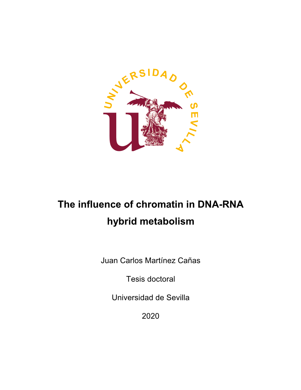 The Influence of Chromatin in DNA-RNA Hybrid Metabolism