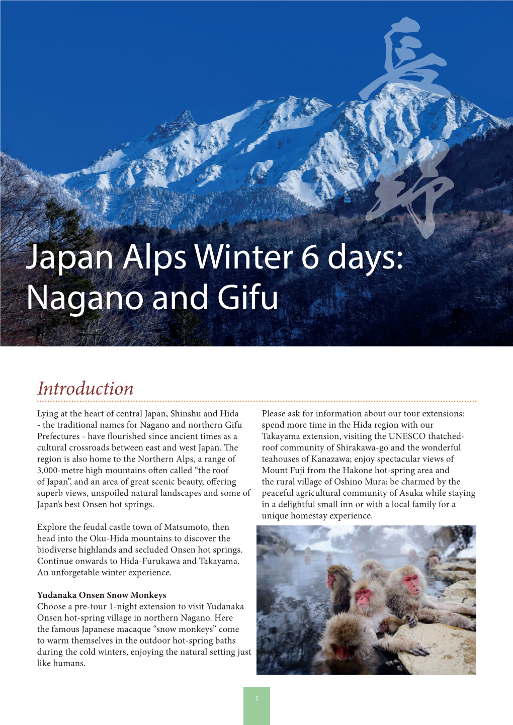 Japan Alps Winter 6 Days: Nagano and Gifu