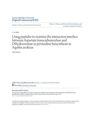 Using Peptides to Examine the Interaction Interface Between Aspartate Transcarbamoylase and Dihydroorotase in Pyrimidine Biosynthesis in Aquifex Aeolicus Nouf Alyami