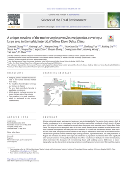 A Unique Meadow of the Marine Angiosperm Zostera Japonica,Coveringa Large Area in the Turbid Intertidal Yellow River Delta, China