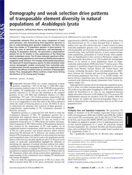 Demography and Weak Selection Drive Patterns of Transposable Element Diversity in Natural Populations of Arabidopsis Lyrata