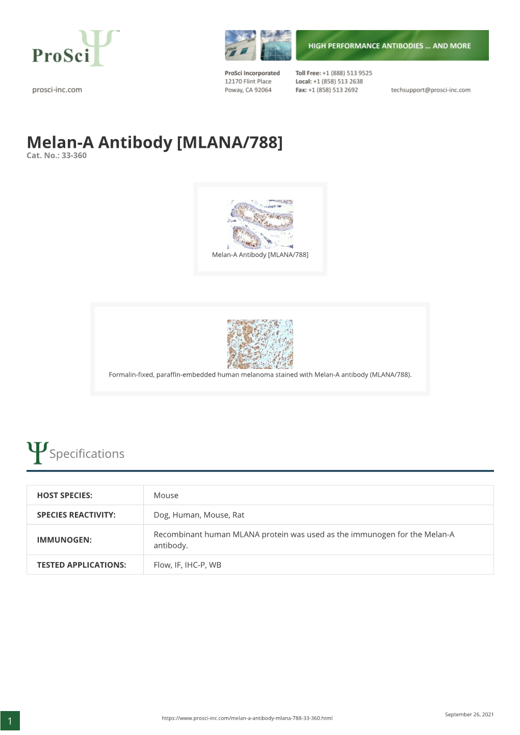 Melan-A Antibody [MLANA/788] Cat