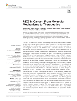 P2X7 in Cancer: from Molecular Mechanisms to Therapeutics