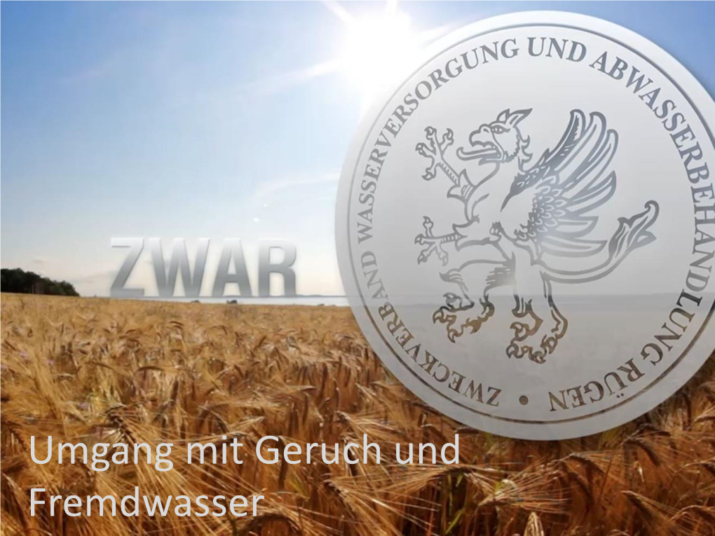 ZWA Rügen • Gegründet 1992 • 150 Beschäftigte • € 320 Mio