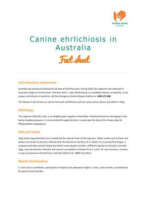 Canine Ehrliciosis in Australia