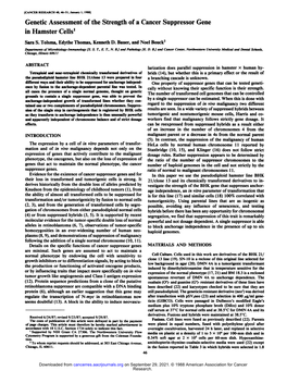 Genetic Assessment of the Strength of a Cancer Suppressor Gene in Hamster Cells1